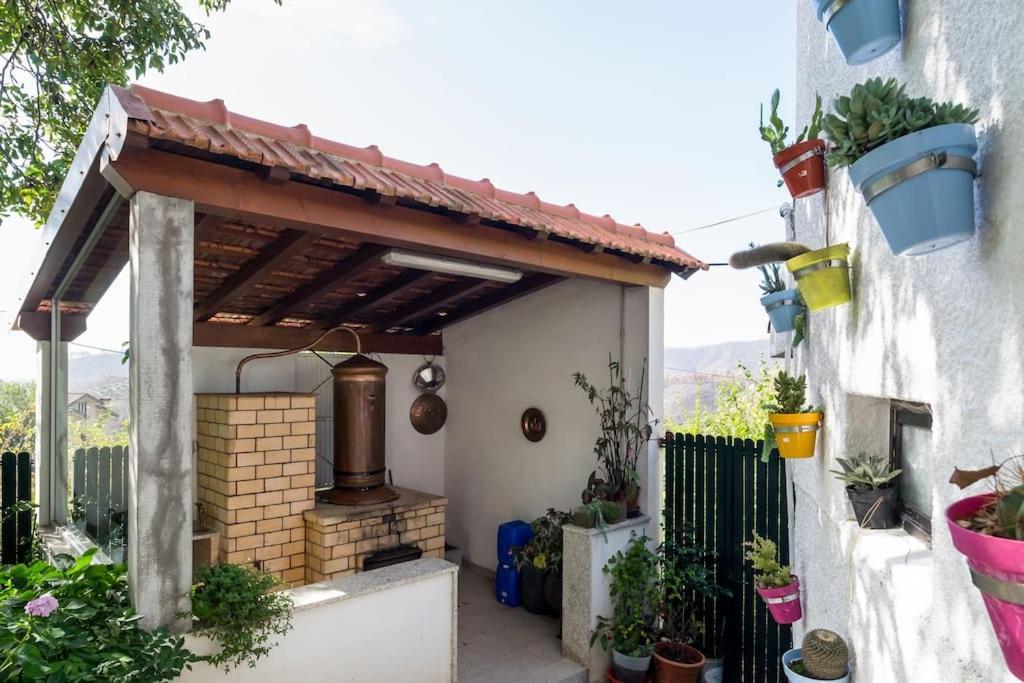 Вилла Casat5, Ferias, Piscina Privativa. Agueda, Aveiro Экстерьер фото