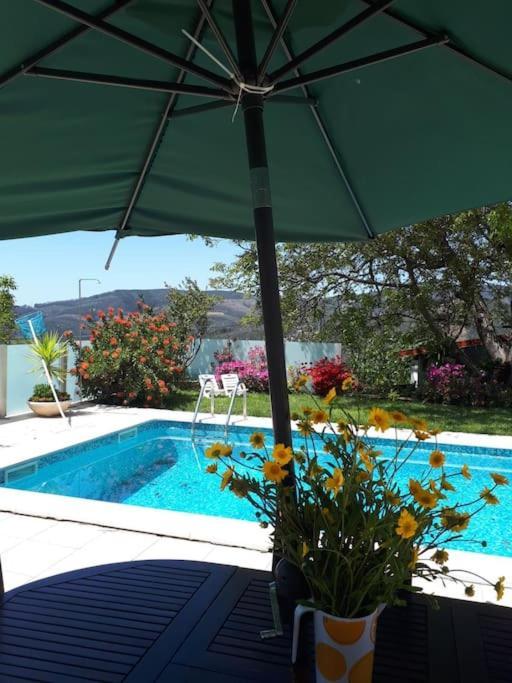 Вилла Casat5, Ferias, Piscina Privativa. Agueda, Aveiro Экстерьер фото