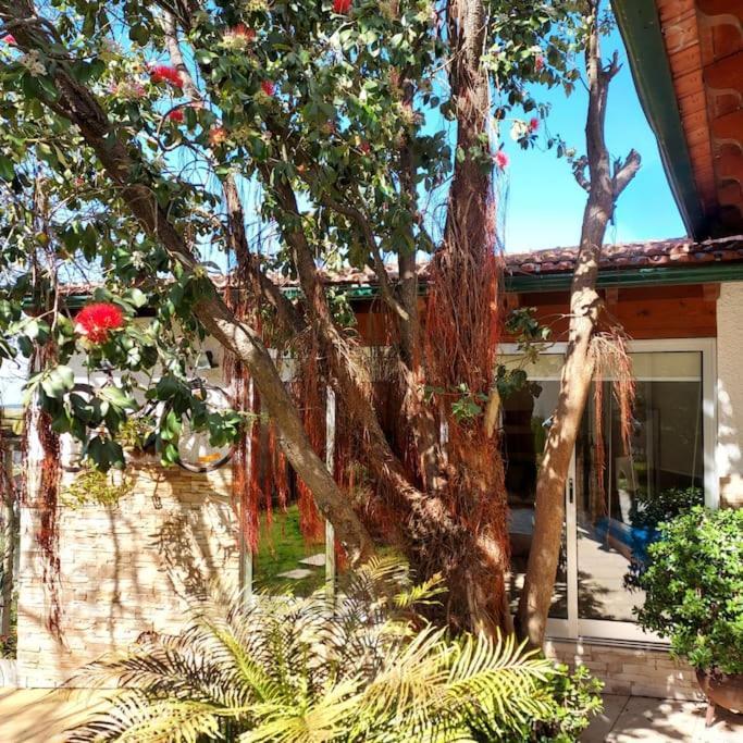 Вилла Casat5, Ferias, Piscina Privativa. Agueda, Aveiro Экстерьер фото