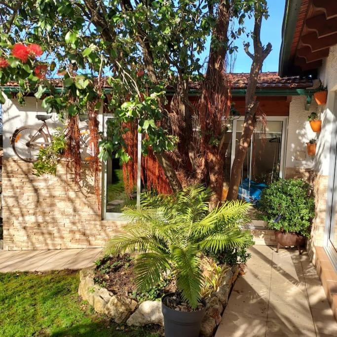 Вилла Casat5, Ferias, Piscina Privativa. Agueda, Aveiro Экстерьер фото
