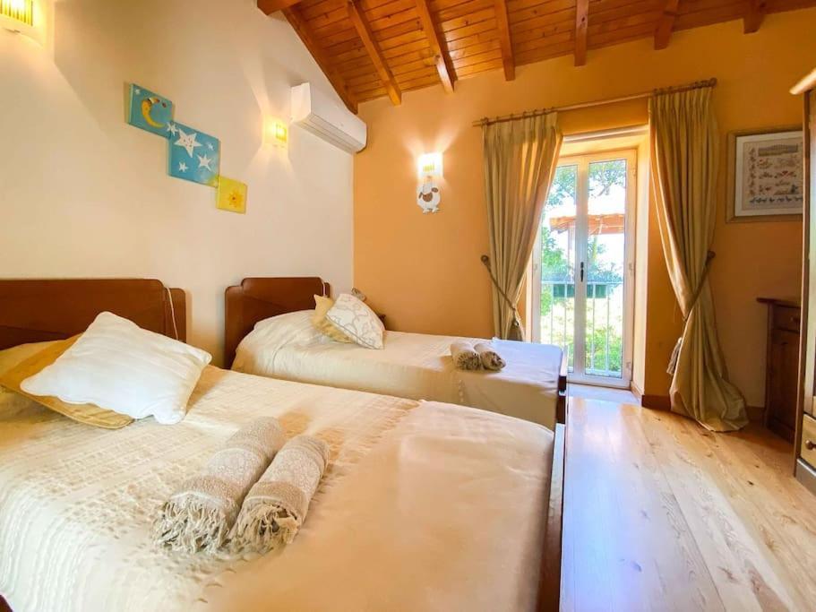 Вилла Casat5, Ferias, Piscina Privativa. Agueda, Aveiro Экстерьер фото