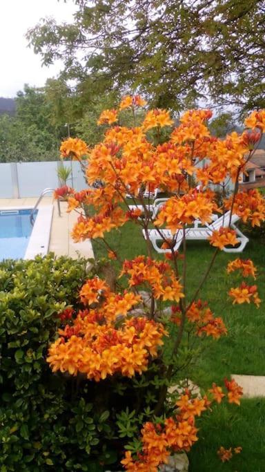 Вилла Casat5, Ferias, Piscina Privativa. Agueda, Aveiro Экстерьер фото