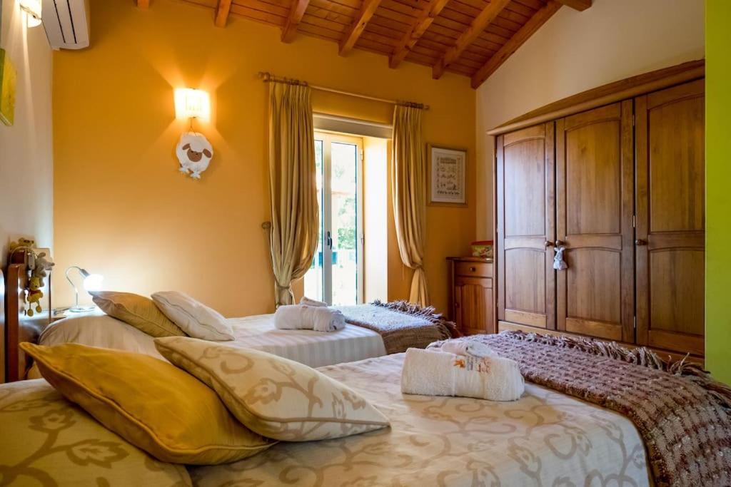 Вилла Casat5, Ferias, Piscina Privativa. Agueda, Aveiro Экстерьер фото